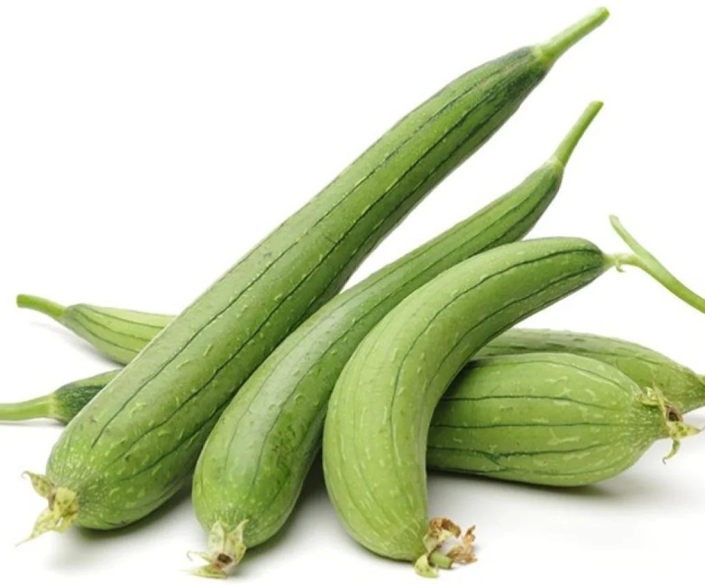 Sponge Gourd (Tori)